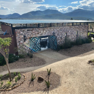 Casa-Pavo-Real-en-el-Vinedo-El-Pavo-Real-del-Campo-MALU