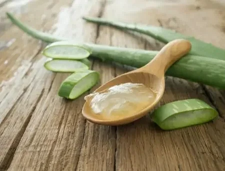 Beneficios de la sábila para la cara
